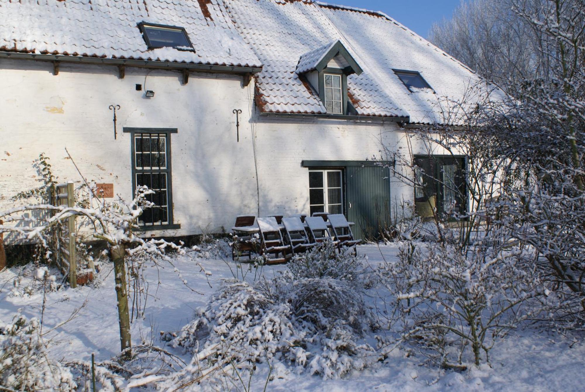 B&B De Metstermolen Sint-Truiden Kültér fotó