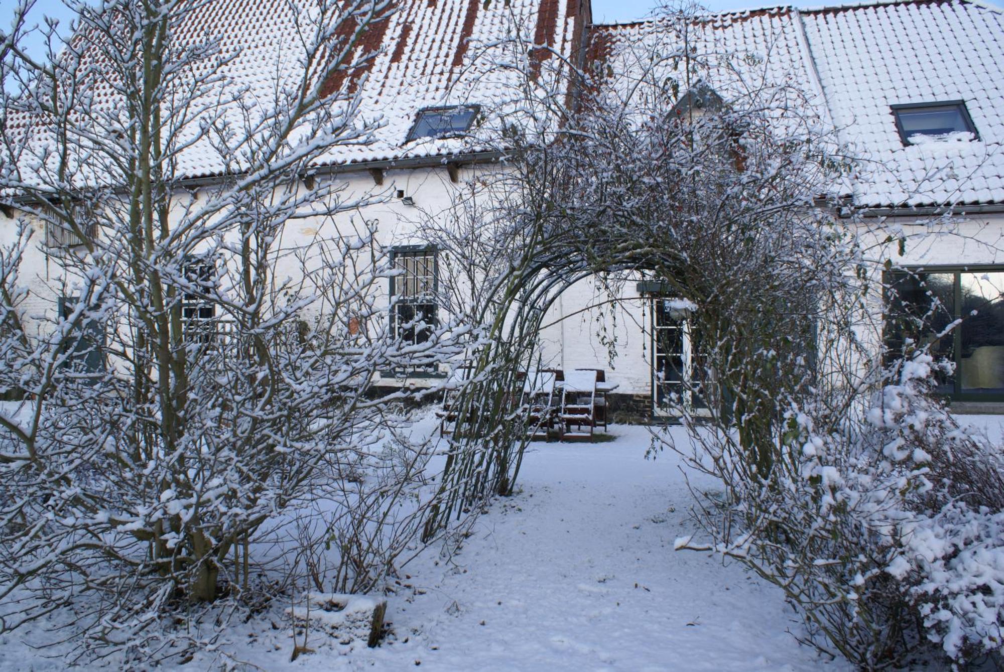 B&B De Metstermolen Sint-Truiden Kültér fotó
